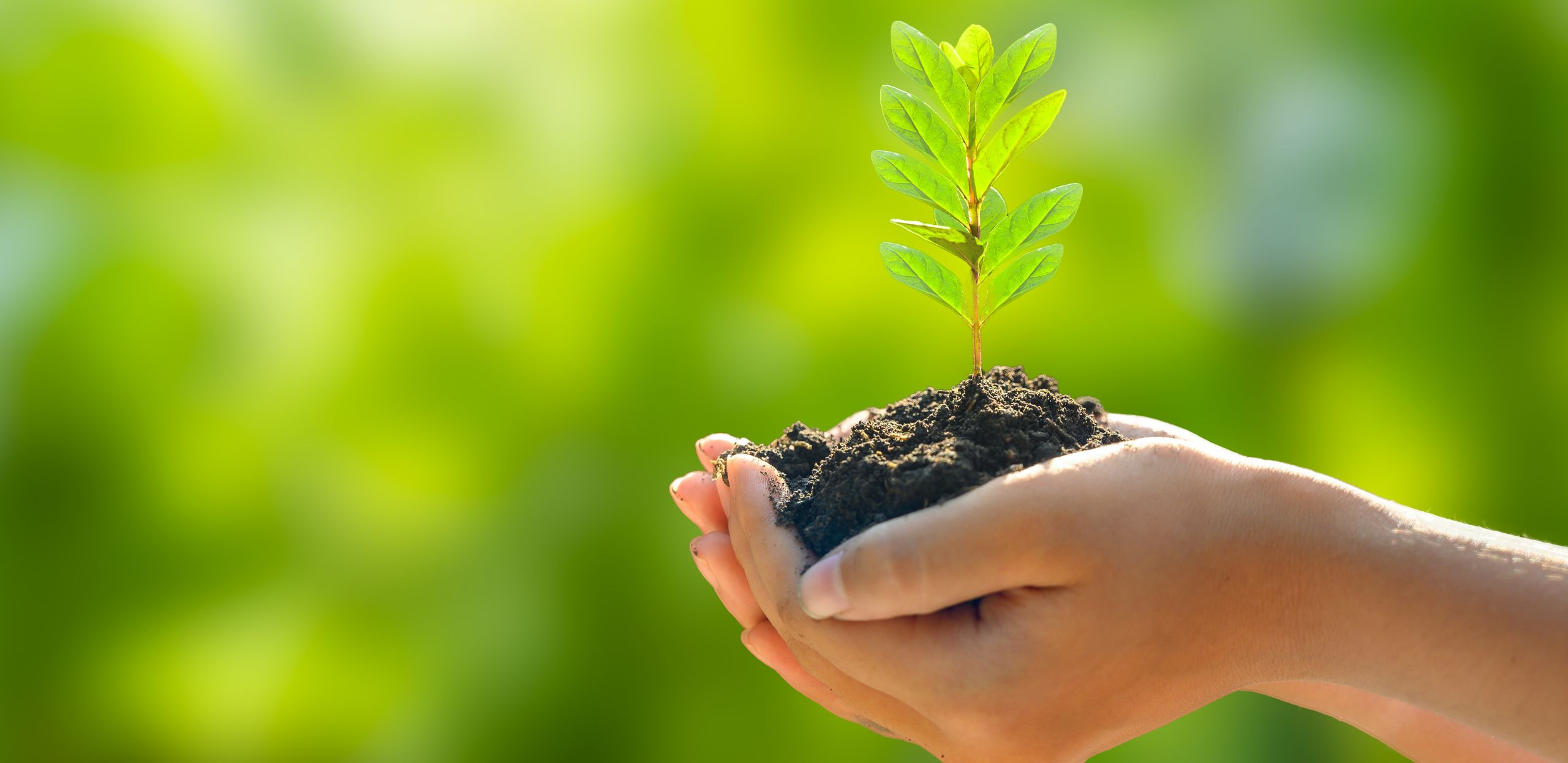 qué hacemos y qué nos mueve a hacerlo qué hacemos y qué nos mueve a hacerlo